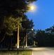 Паркова опора NCT SKPF-D 6,0/175/60 прінт деревина 4131-96 wood, 5/6 - Smart lighting