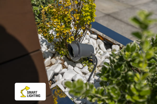 Реализация проекта Smart Light Бизнес-центр Протасов Яр