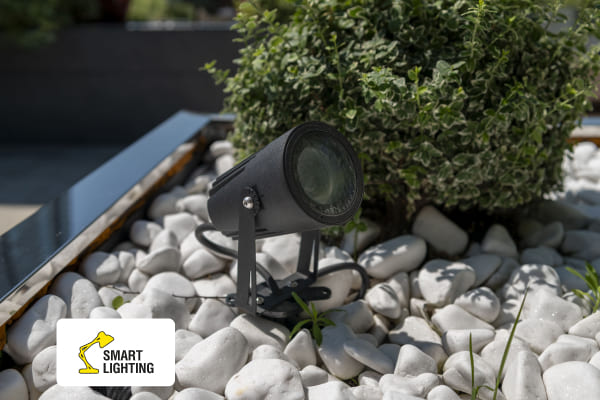 Проект Smart light Бизнес-центр Протасов Яр